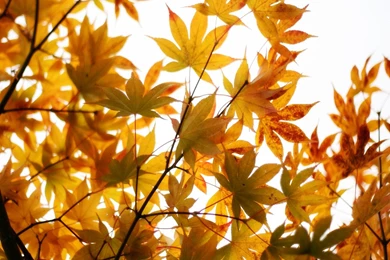 Cloudeight Free Desktop Wallpapers