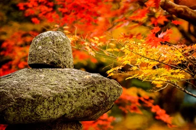 Jeffrey Friedl's Blog » More Japanese Garden Desktop Backgrounds ...