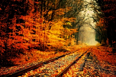 Autumn Widescreen Wallpapers – 1280×800 High Definition Wallpapers ...