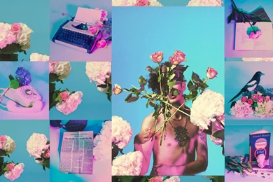 Mac Laptop Backgrounds