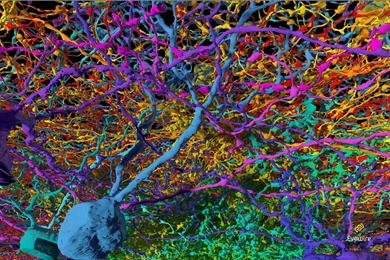 EyeWire Laptop Backgrounds