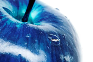 Wallpapers Colors Apple Cachedblue White Blackberries Apples Blue ...