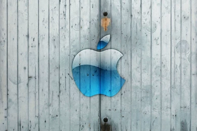 The Squirrels Find A Chip, Gray blue Apple Wood Wallpapers ...