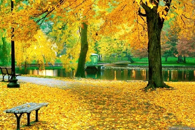 Autumn In America Wallpapers   Seasonal   Crazy Frankenstein