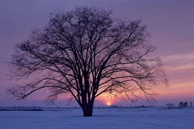 High Quality HD Nature And Landscape Widescreen Wallpapers ...