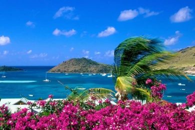 Wallpapers HD Widescreen High Quality Desktop 3D Beautiful 1833r ...