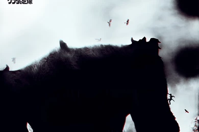 Shadow Of The Colossus Computer Wallpapers, Desktop Backgrounds ...