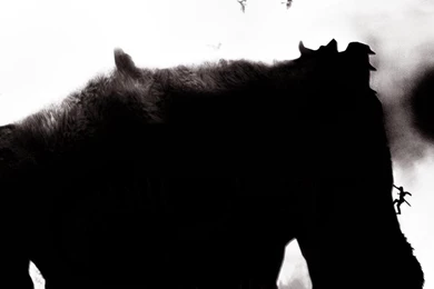 Shadow Of The Colossus Wallpapers