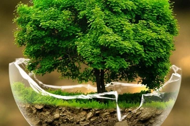 Mobile Nature Wallpapers, Images, Photos, Pictures & Pics