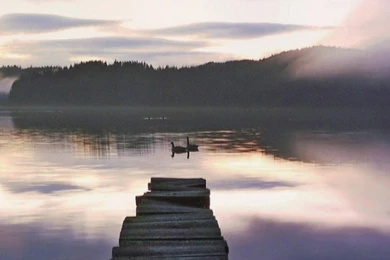 75 Elegant Hd Nature Wallpapers For Mobile   Over The Top Mag