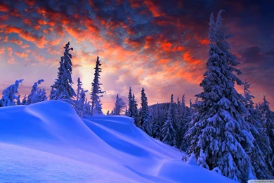 Winter Christmas HD Desktop Wallpapers : Widescreen : High ...