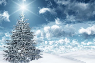 Winter Christmas HD Wallpapers 1920x1080px