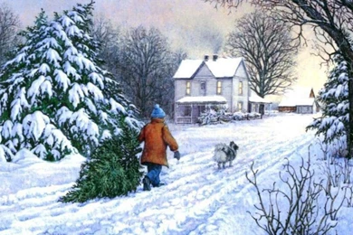 Winter Christmas Wallpapers   Crazy Frankenstein