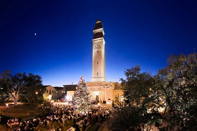 LSU Facebook Page   Comment Policy