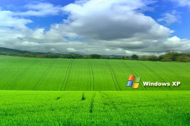 High Resolution Microsoft Windows XP Wallpapers HD 8 Full Size ...