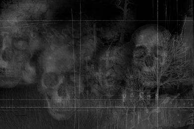 Download Texture: Skulland Bones, Background, Texture, Photo ...