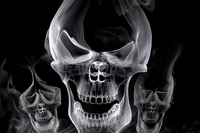 Download Texture: Skulland Bones, Background, Texture, Photo ...