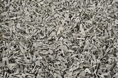 Download Texture: ?????, Background, Texture, Photo, Bones Texture ...