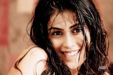 Genelia D Souza Biography & HD Wallpapers Free Download