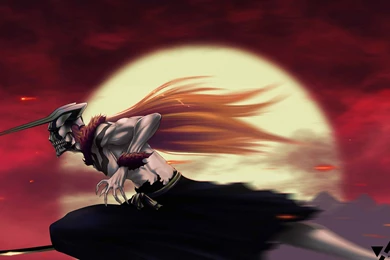 Bleach HD Wallpapers