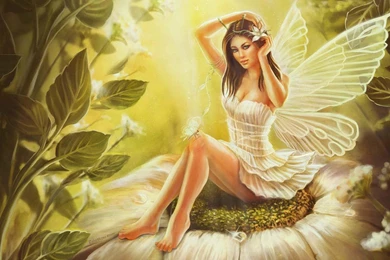 Fairy Wallpapers   Android Apps On Google Play