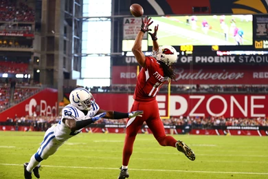 Larry Fitzgerald Wallpapers High Quality