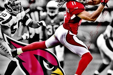 Arizona Cardinals