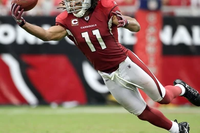 Larry Fitzgerald One Handed Catch   Wallpaper.
