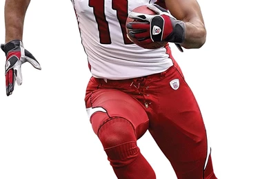 Arizona Cardinals Larry Fitzgerald Fathead Jr Brewster ...