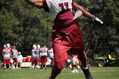 Larry Fitzgerald wallpapers