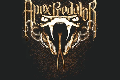 Randy Orton Rko Hd Wallpapers   Image Detail