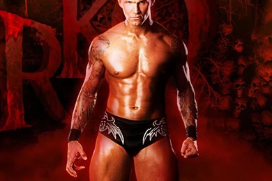 Coniving Rko Randy Orton 1243401 Wallpapers   (