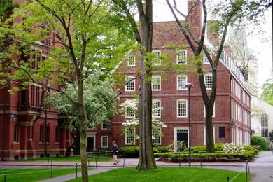 Beautiful Wallpapers