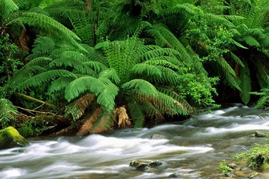 Nature Wallpapers HD For Desktop High Resolution Best HD Desktop ...