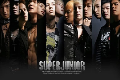Free Download Super junior wallpapers