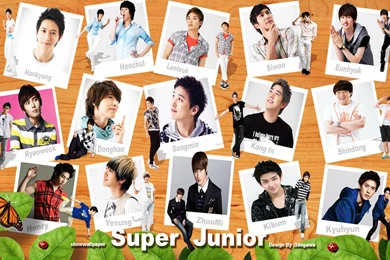 Super Junior   Super Junior Wallpapers (32787237)   Fanpop