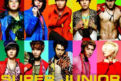 Super Junior Wallpapers