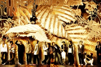 Super Junior   Super Junior Wallpapers (2336230)   Fanpop
