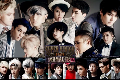 K pop Lover ^^: SUPER JUNIOR   Mamacita WALLPAPER