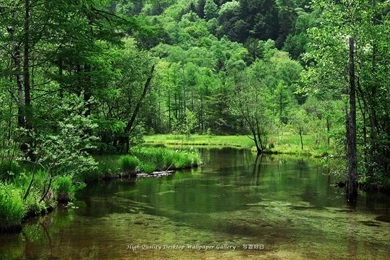 Nature Wallpapers HD For Desktop High Resolution Best HD Desktop ...