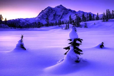 Wallpapers Winter Nature Wallpapers High Resolution