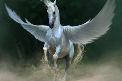 WILD HORSE WALLPAPER   (