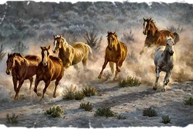 WILD HORSES 2 WALLPAPER   (