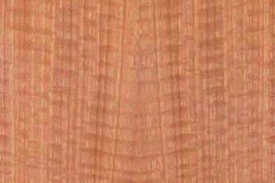 Chevron Grain Wood Veneer Wallpaper. Free Shipping!