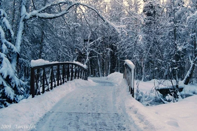 Winter Wallpapers Collection (37+)