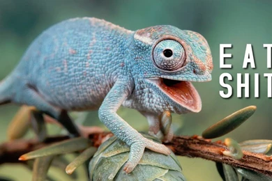 54 Beautifully Offensive Desktop Wallpapers