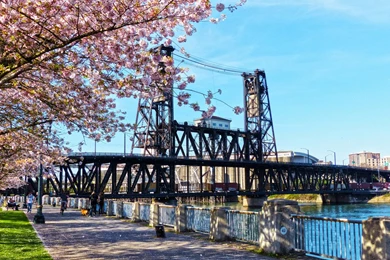 Steel Bridge Portland   Wallpaper.