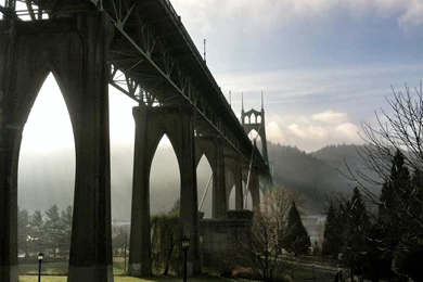 Green Trees Bridges Oregon Portland Parks Rivers Wallpapers