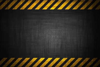 1600X1200 Wallpapers Echinacea. Wallpapers 3D For Desktop, 3D ...