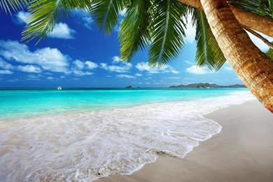 Beach Live Wallpapers   Android Apps On Google Play